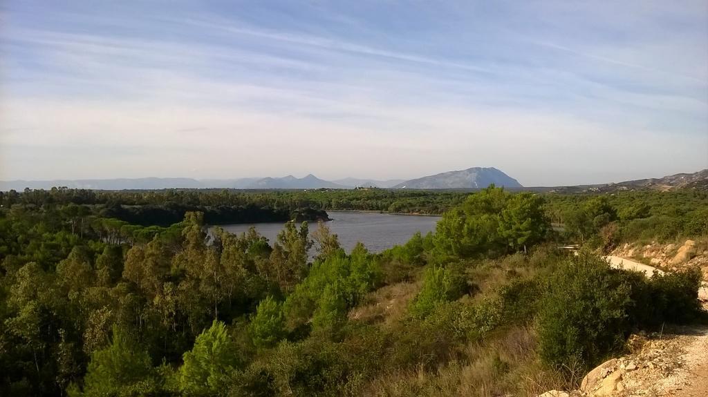 Appartamento Gli Ontani Cala Liberotto Exteriör bild