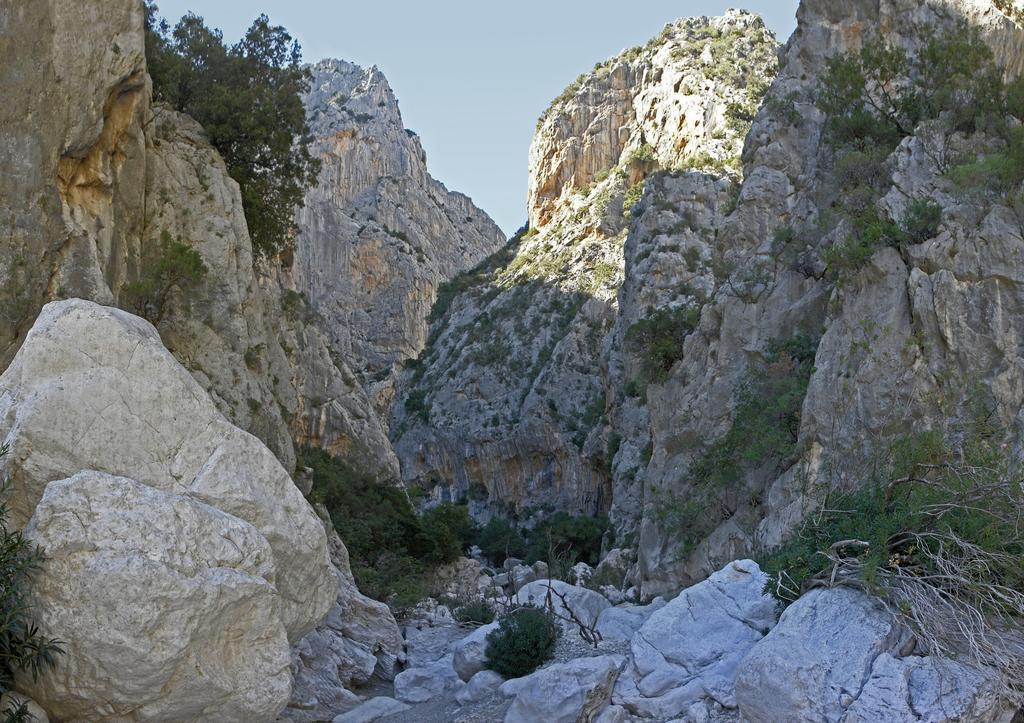 Appartamento Gli Ontani Cala Liberotto Rum bild